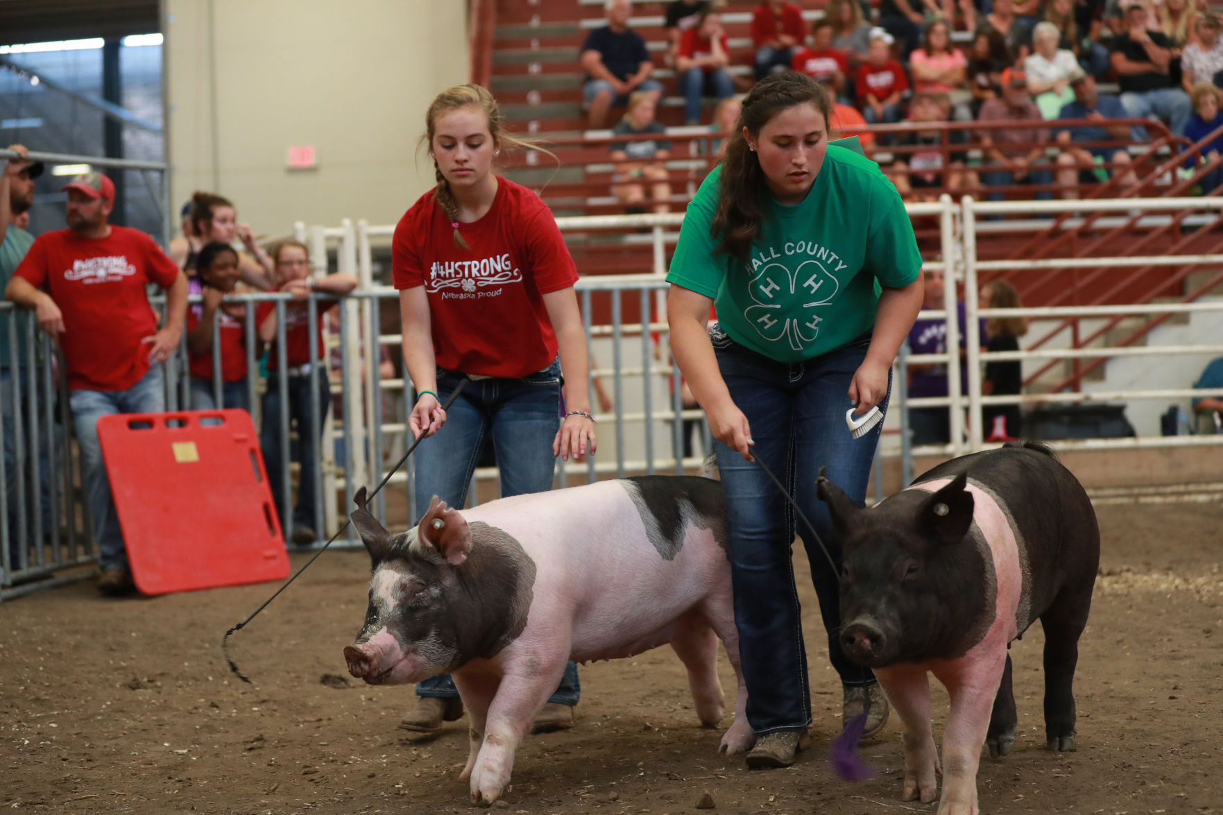 071119_HallCoFair42_bjs.JPG